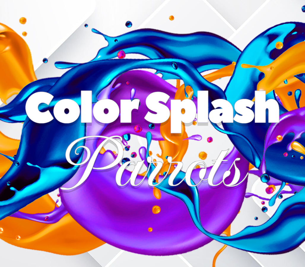 Color Splash: Parrots
