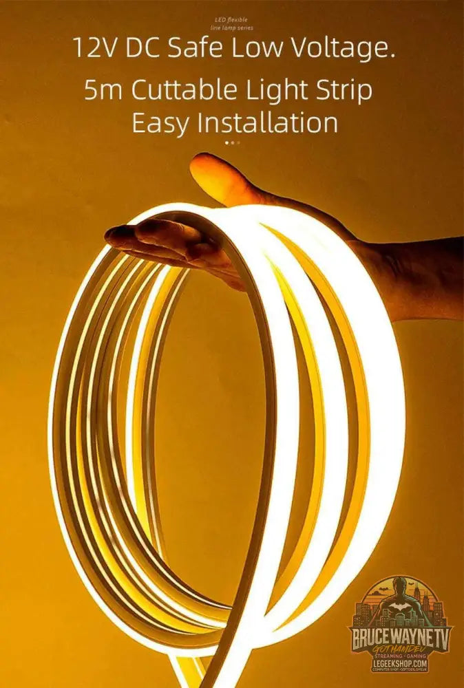 💡 BLALION – Bande LED Ambiante Frunk pour Tesla Modèle 3 Y S X (5M) - Legeekshop
