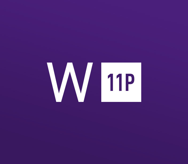 Windows 11 Professional OEM 4 Keys Bundle