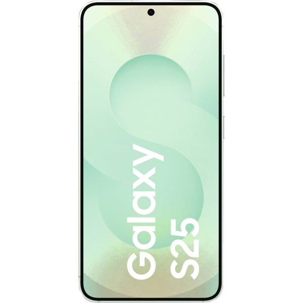 Samsung Galaxy S25 256GB 5G - Samsung - vue 2