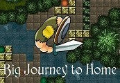Big Journey to Home