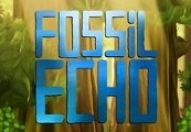 Fossil Echo