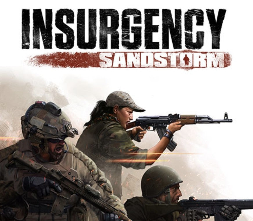 Insurgency: Sandstorm DE
