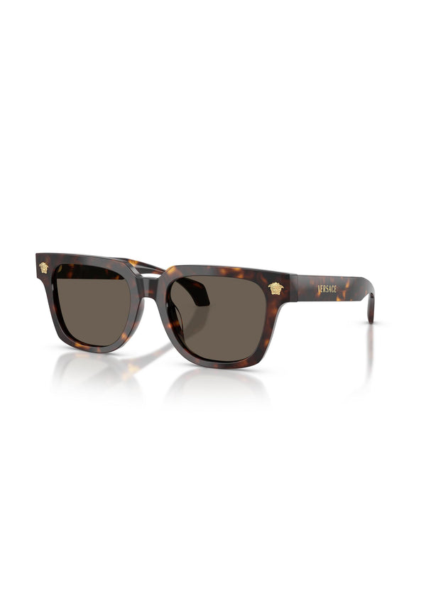 Versace Sac homme Lunettes De Soleil — brown