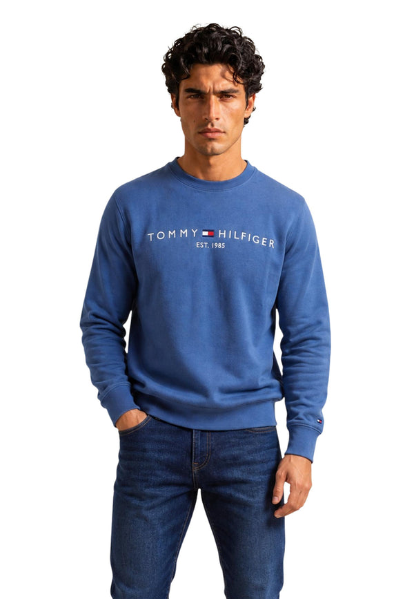 Tommy Hilfiger Sweat homme Sweatshirts — blue